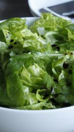 https://www.maggi.hr/sites/default/files/styles/search_result_153_272/public/article_images/SEM_How_to_keep_salad_greener_longer.JPG?itok=EFBRqAtw